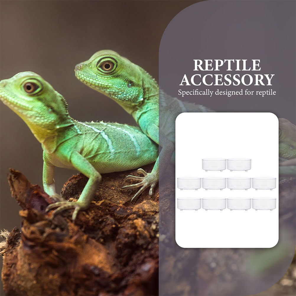 10Pcs Acrylic Reptile Food Dis - Water Dish Reptile incelemesi ve fiyatı