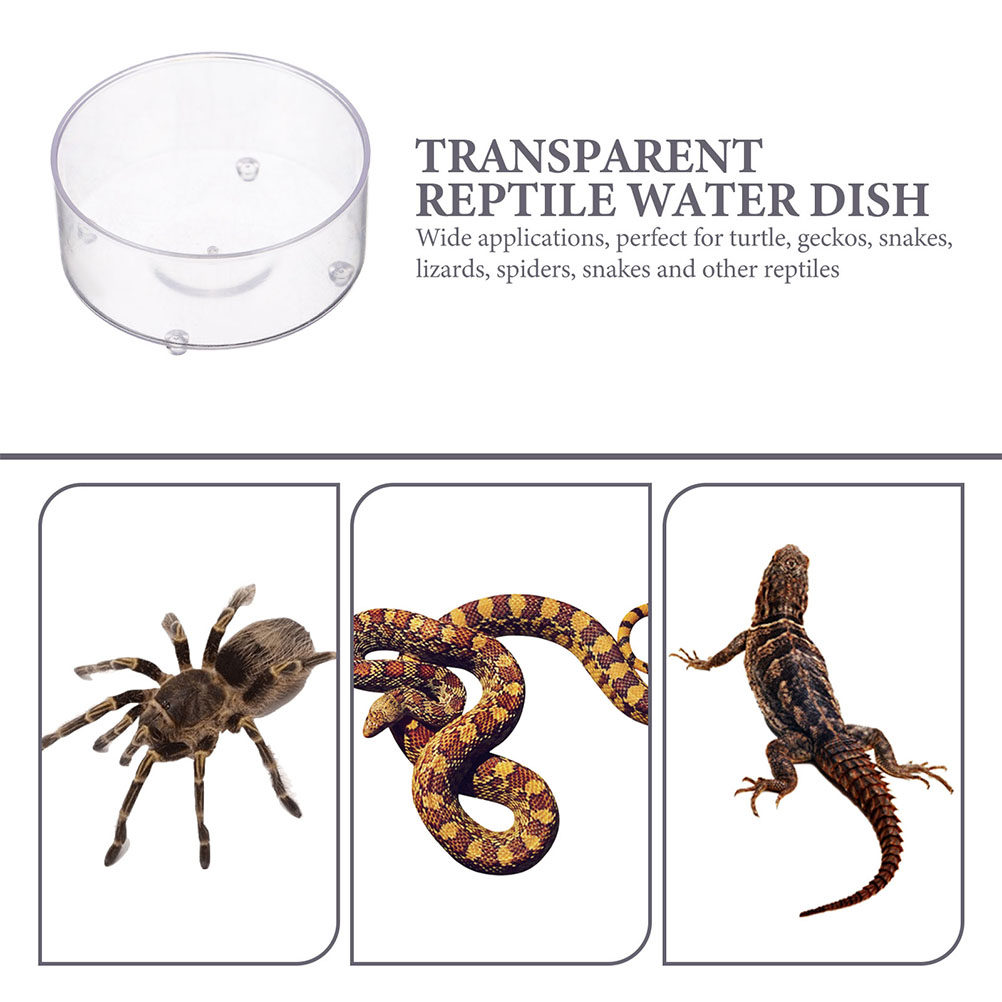 10Pcs Acrylic Reptile Food Dis - Water Dish Reptile incelemesi ve fiyatı