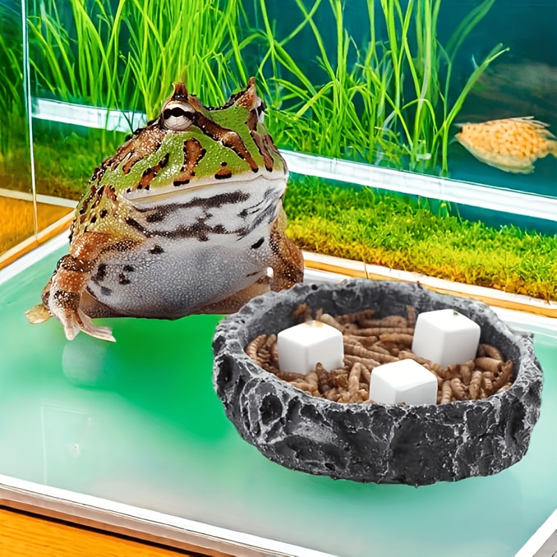 6Pcs For Reptile Grinding Tort - Calcium Powder Reptile incelemesi ve fiyatı