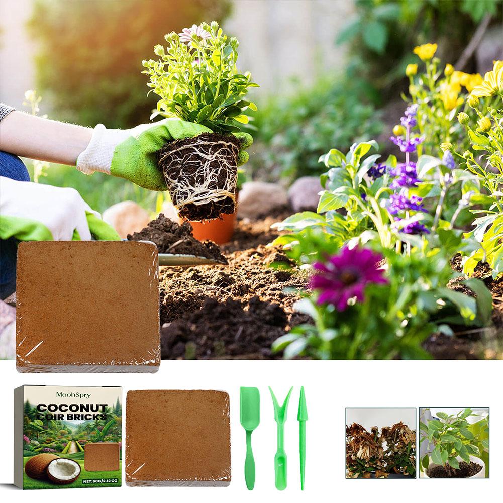 Reptile Coconut Soil Coir Pres - Substrate Coconut Fiber incelemesi ve fiyatı