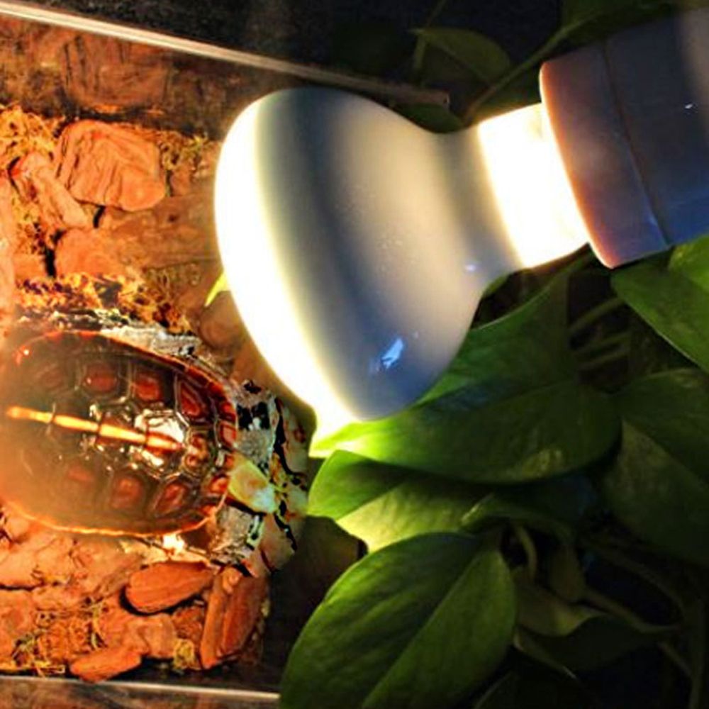 Lizard Heater Temperature Cont - Basking Bulb Halogen incelemesi ve fiyatı