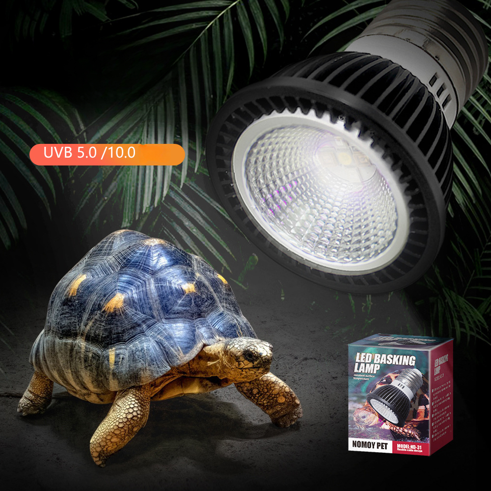 Reptile 110/220V UVB+UVA Light - Calcium Powder Reptile incelemesi ve fiyatı