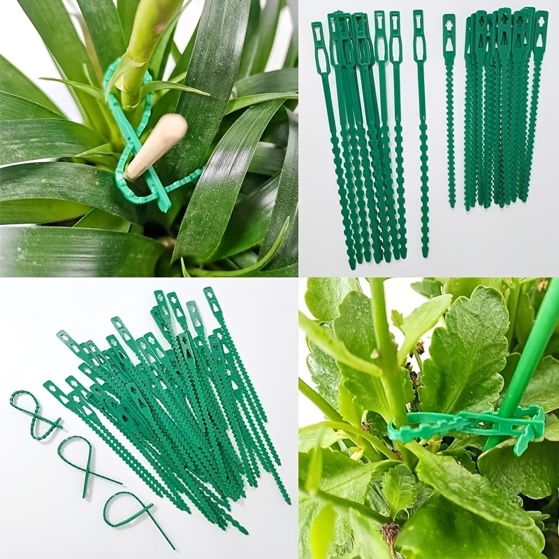 100PCS reusable adjustable pla - Vine Climbing Plastic incelemesi ve fiyatı