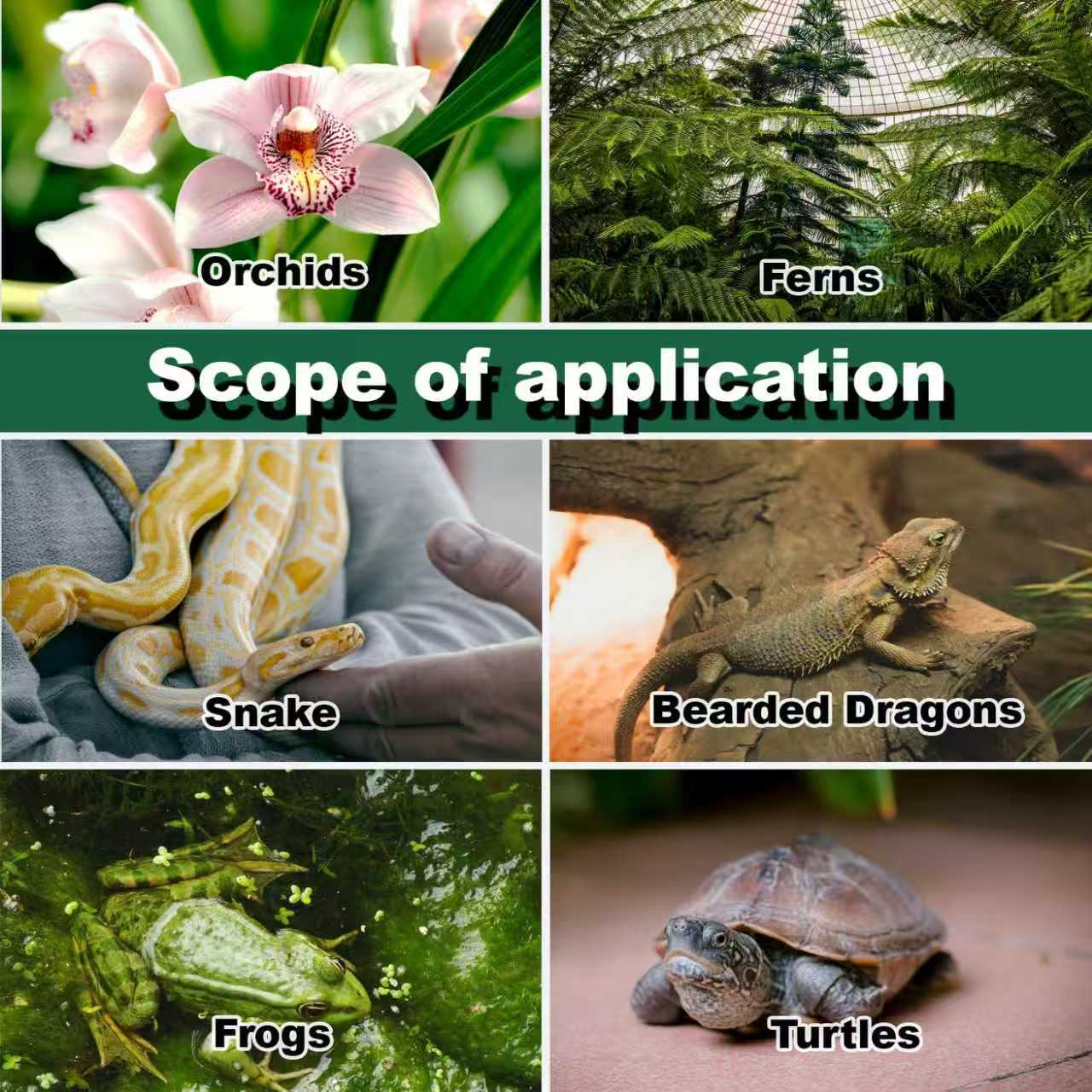 Reptile Humidifier Terrarium F - Terrarium Fogger Ultrasonic incelemesi ve fiyatı