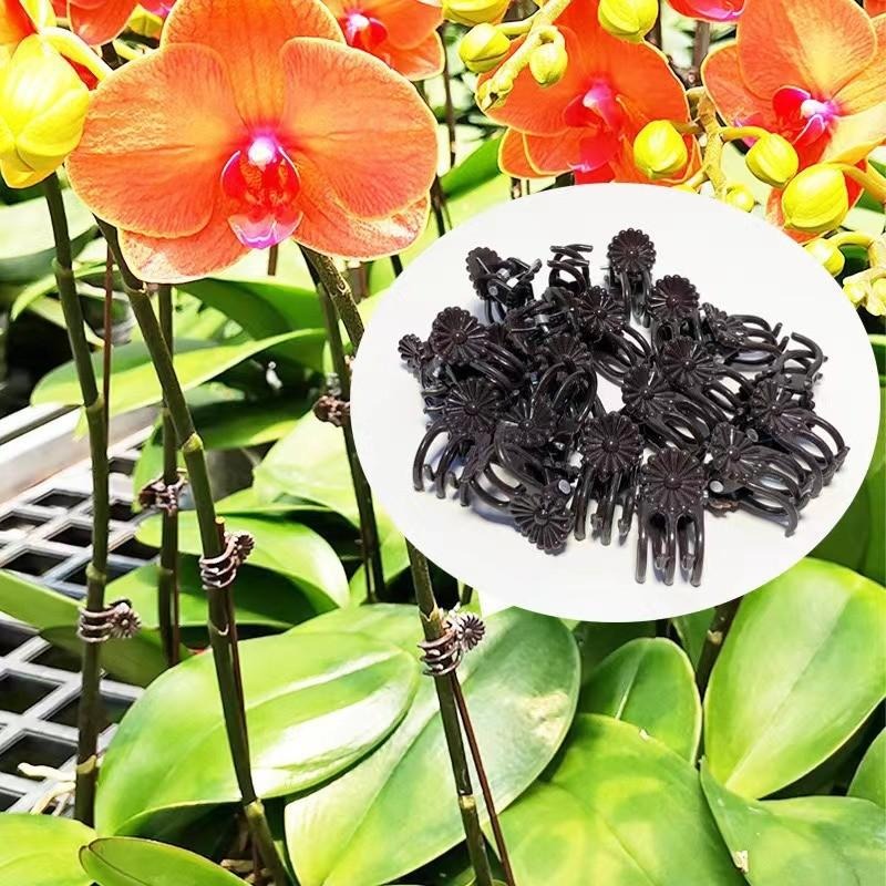 Wholesale Mini Plant Support C - Vine Climbing Plastic incelemesi ve fiyatı