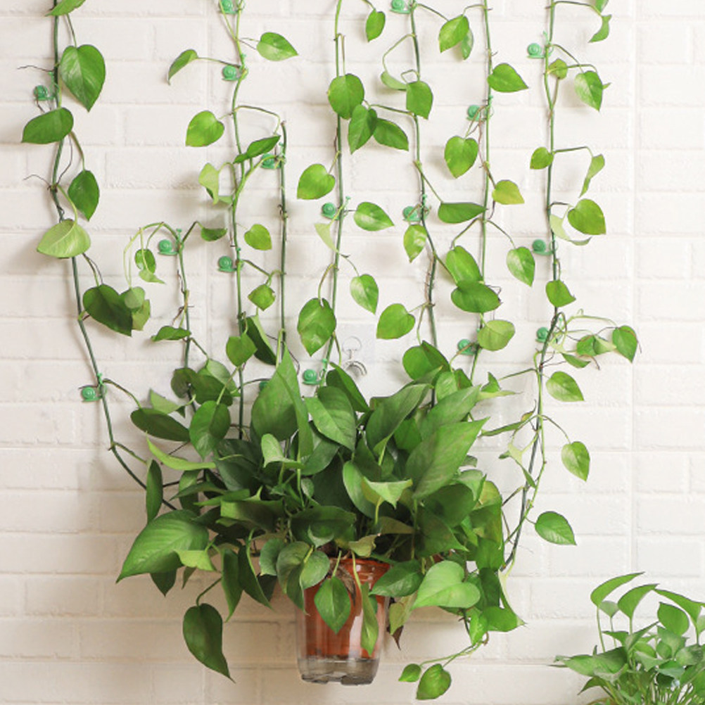 20Pcs Plant Climbing Wall Clip - Vine Climbing Plastic incelemesi ve fiyatı