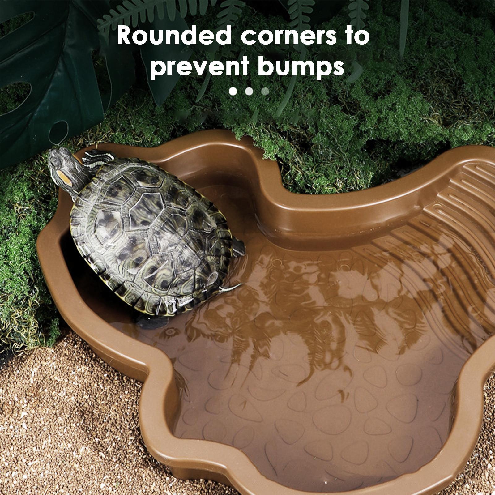 Reptile Bathing Pool with Ramp - Water Dish Reptile incelemesi ve fiyatı