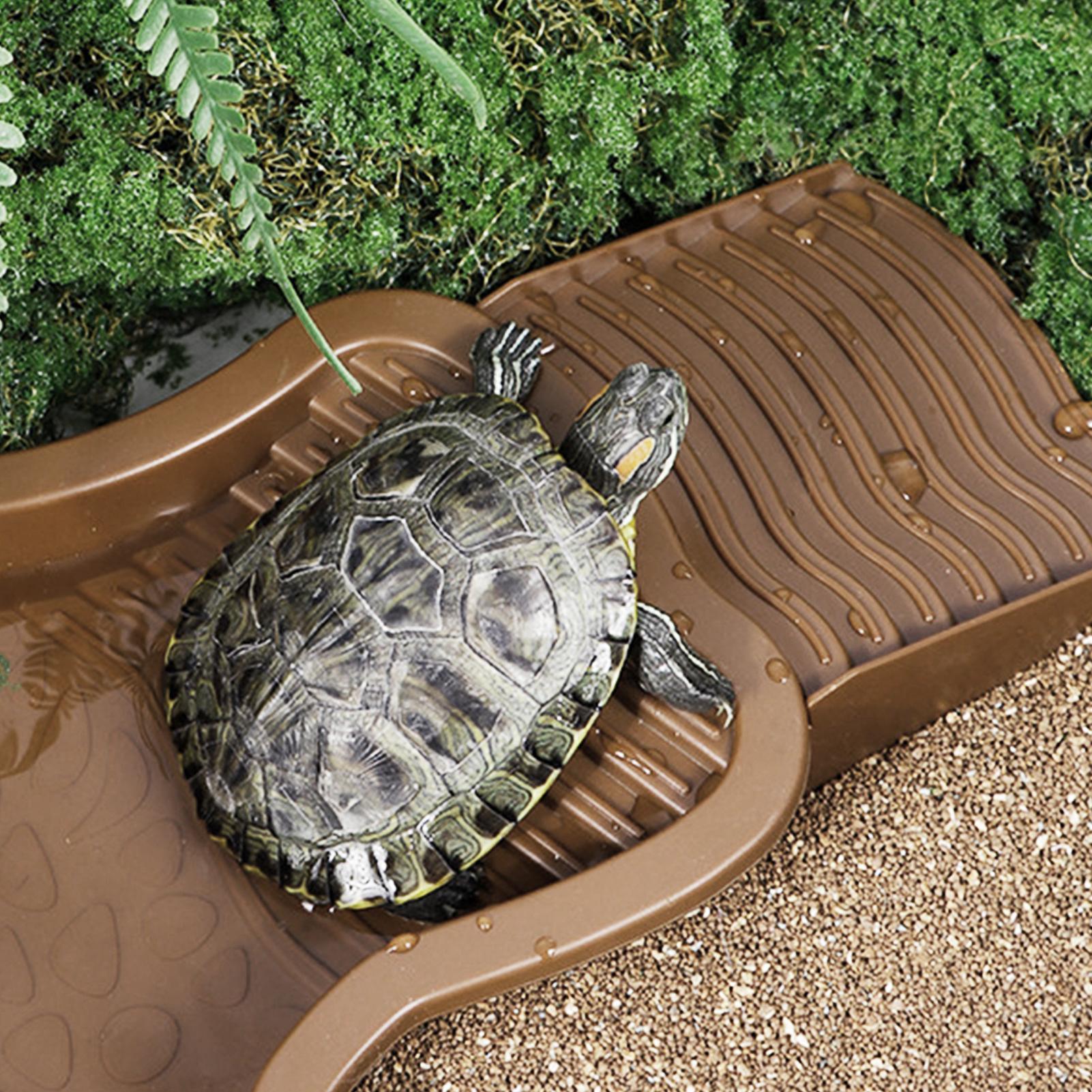 Reptile Bathing Pool with Ramp - Water Dish Reptile incelemesi ve fiyatı
