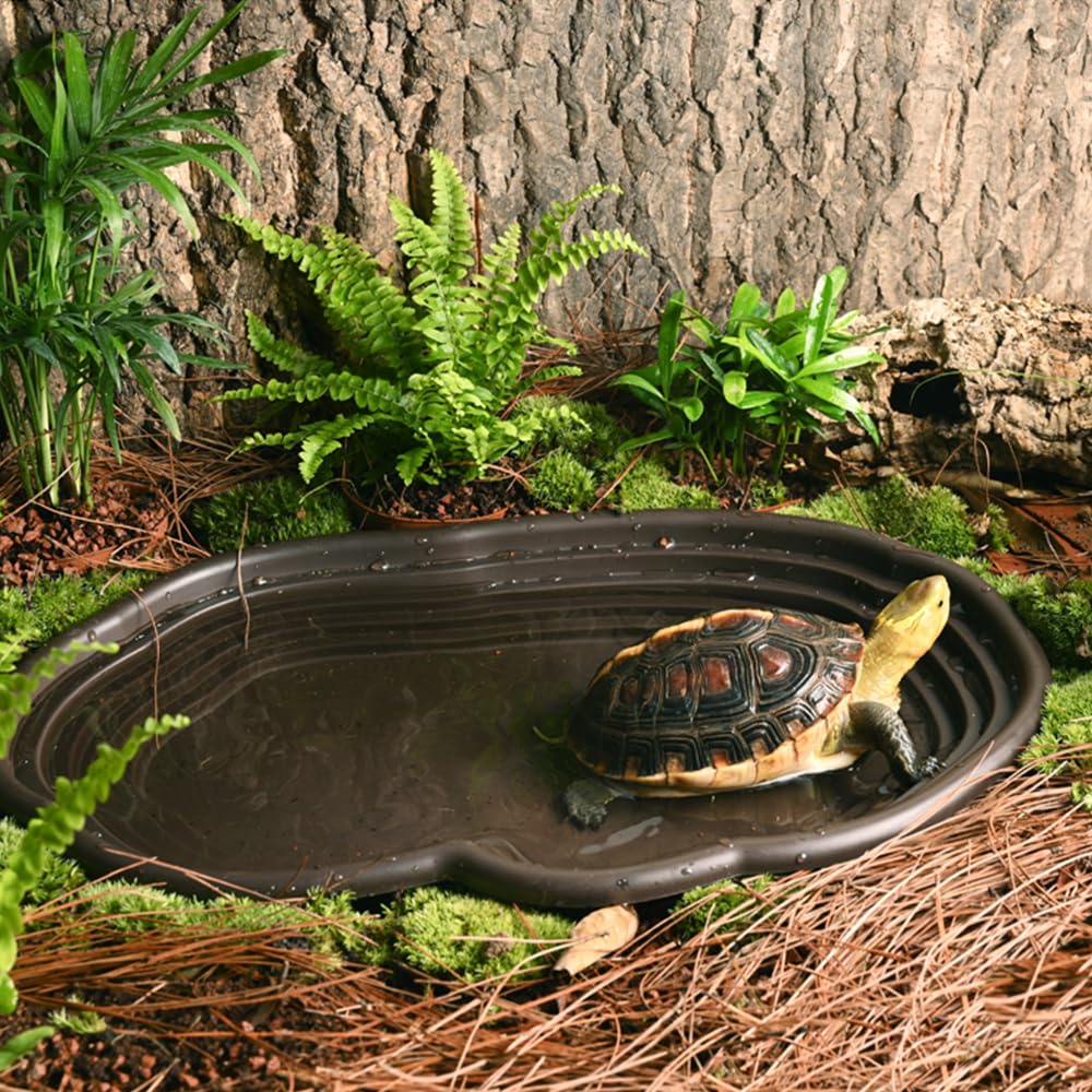 Reptile Bathing Dish Amphibian - Water Dish Reptile incelemesi ve fiyatı