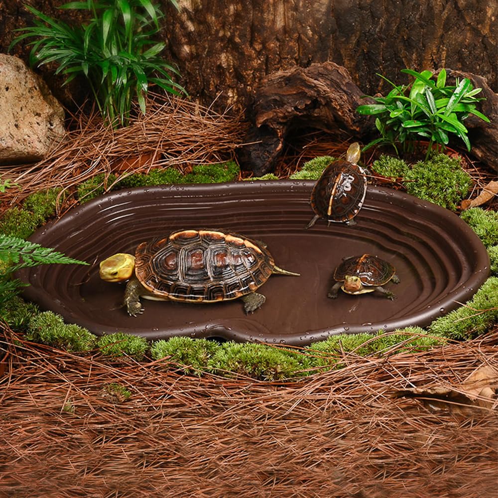 Reptile Bathing Dish Amphibian - Water Dish Reptile incelemesi ve fiyatı
