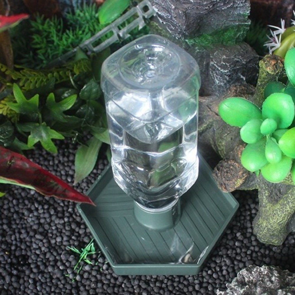 Turtle Food Bowl Anti-slip Rep - Water Dish Reptile incelemesi ve fiyatı
