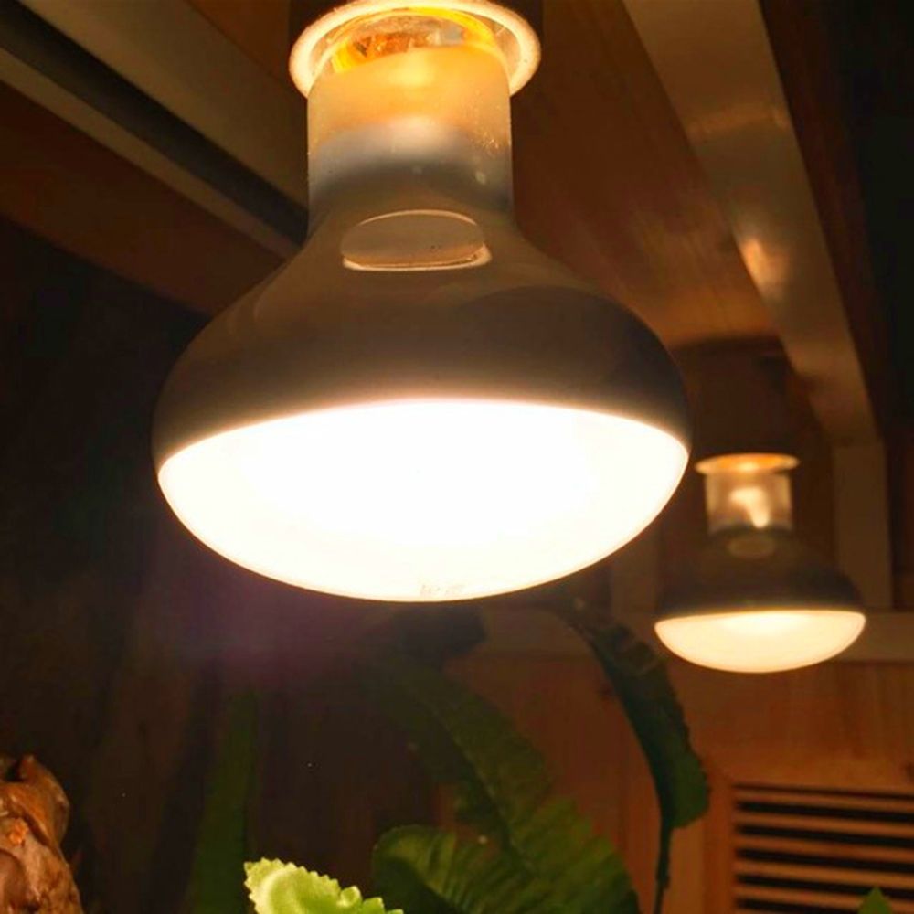 Turtle Heater Temperature Cont - Basking Bulb Halogen incelemesi ve fiyatı