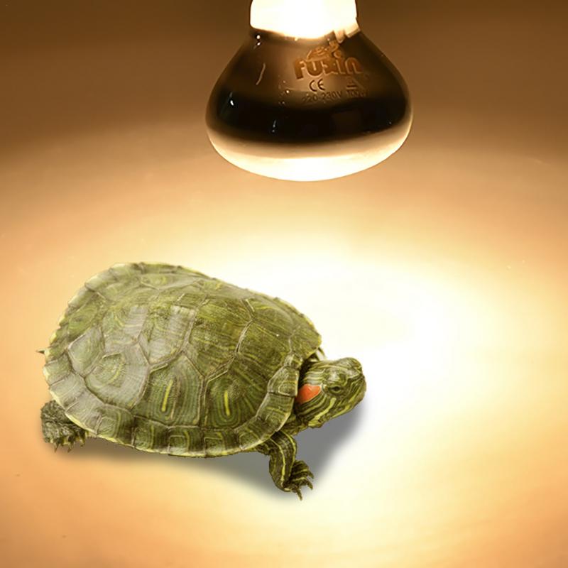Pet Heating Lamp E27 Day Night - Ceramic Heat Emitter incelemesi ve fiyatı