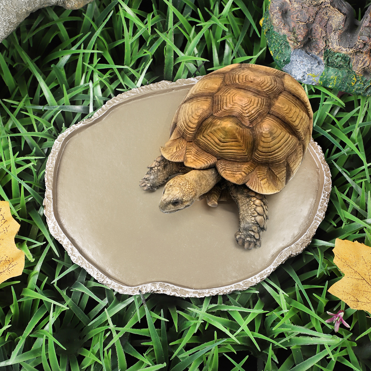Pets Feeding Plate Reptile Fee - Water Dish Reptile incelemesi ve fiyatı