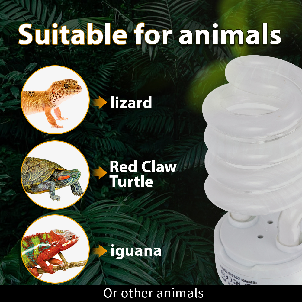 26W Pet Box Lamp Calcium Suppl - Calcium Powder Reptile incelemesi ve fiyatı