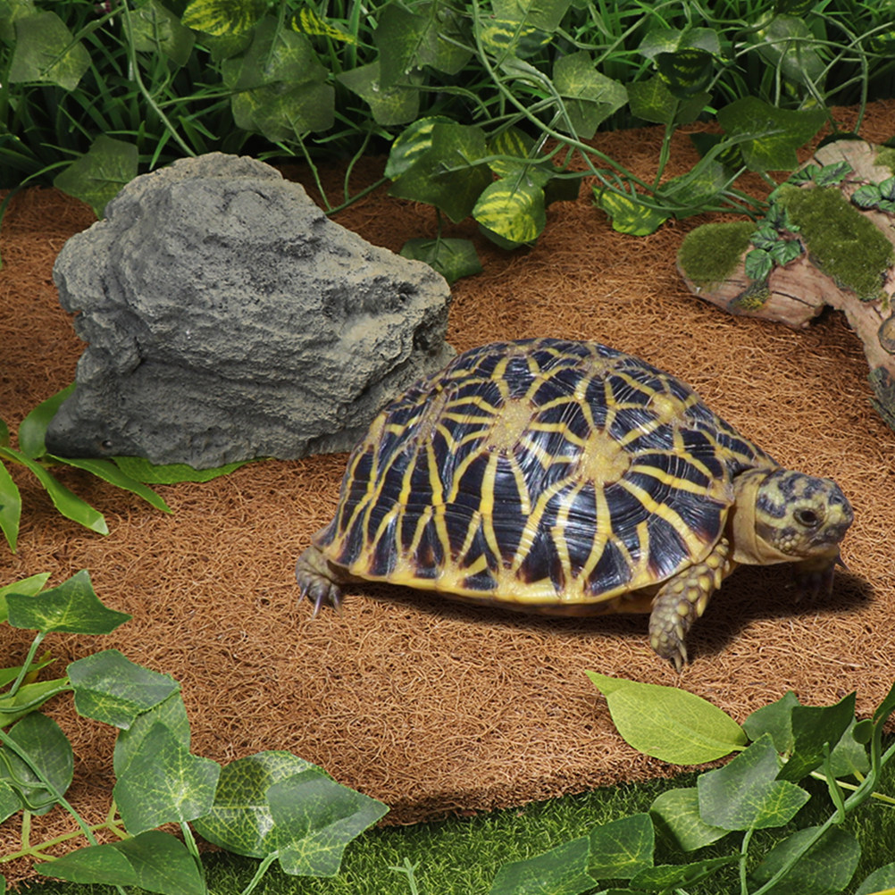 Reptile Terrarium Bedding Subs - Substrate Coconut Fiber incelemesi ve fiyatı