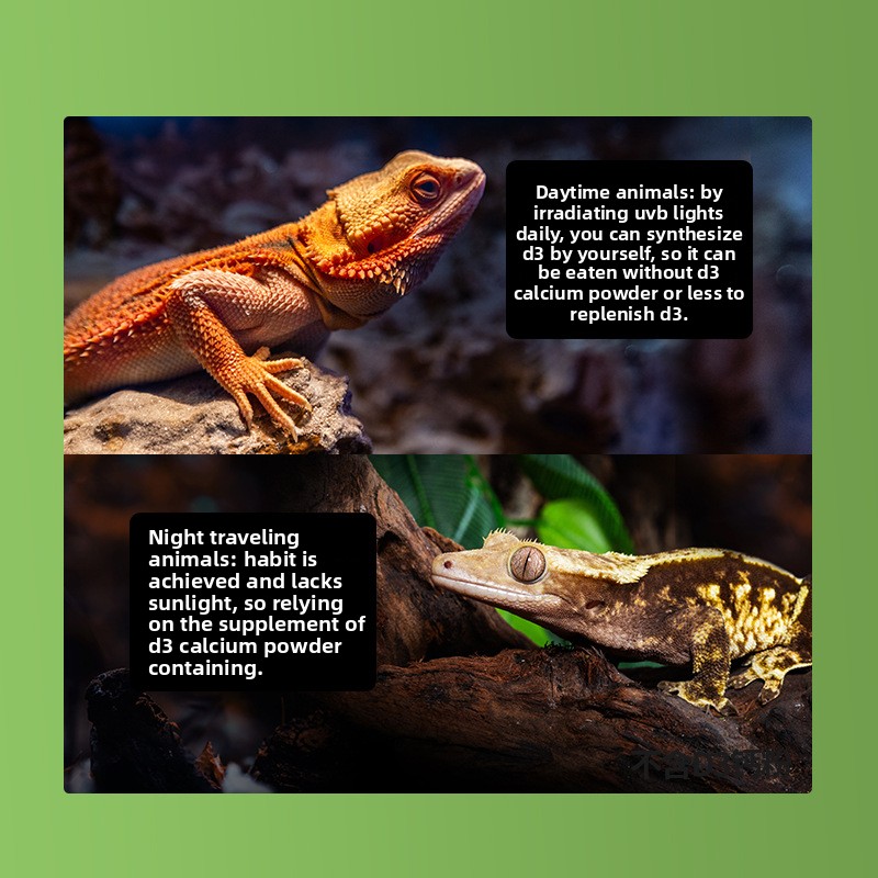 Reptizoo Reptile Calcium Powde - Calcium Powder Reptile incelemesi ve fiyatı