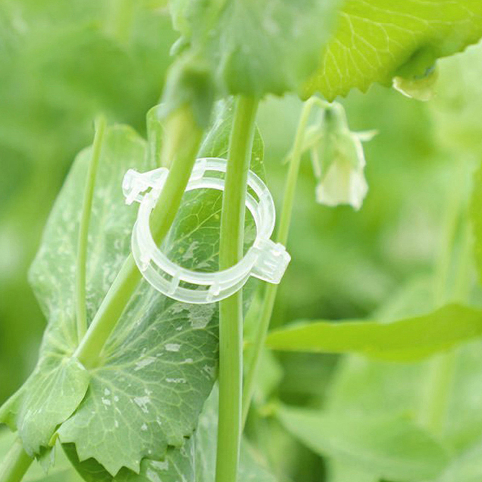 400Pcs Tomato Clips Plastic Ve - Vine Climbing Plastic incelemesi ve fiyatı