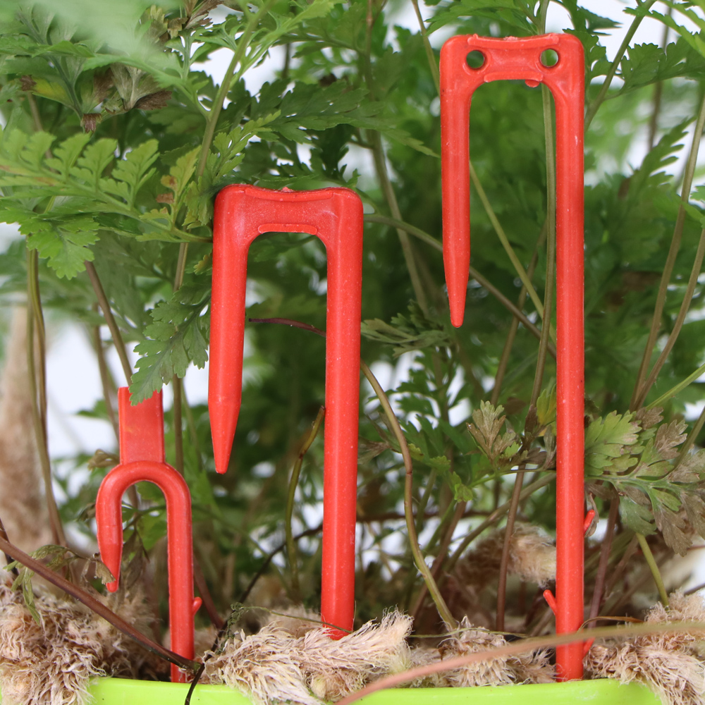 20-50PCS Strawberry Planting F - Vine Climbing Plastic incelemesi ve fiyatı