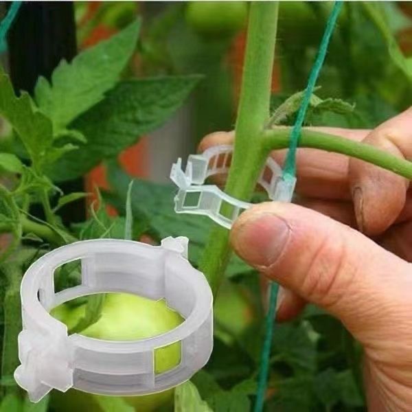 500Pcs Plastic Plant Support C - Vine Climbing Plastic incelemesi ve fiyatı