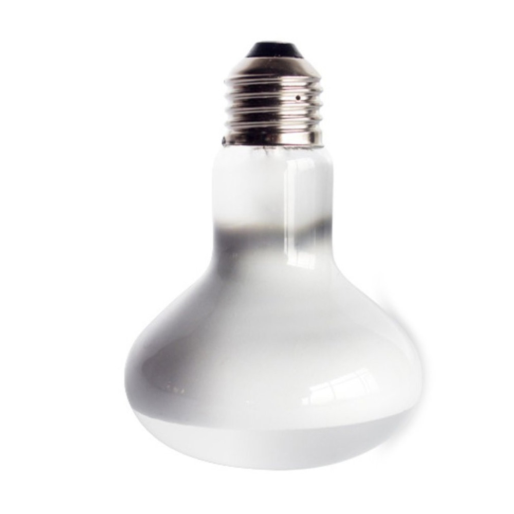 Turtle Temperature Controller  - Basking Bulb Halogen incelemesi ve fiyatı