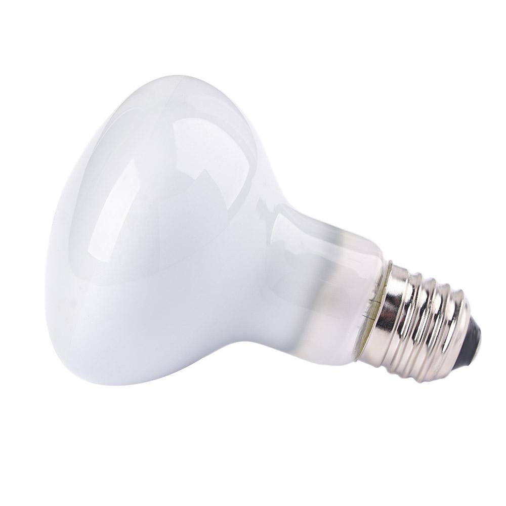 Turtle Temperature Controller  - Basking Bulb Halogen incelemesi ve fiyatı