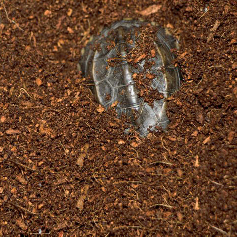 WAJABABY Ready-to-Use Coco Coi - Substrate Coconut Fiber incelemesi ve fiyatı