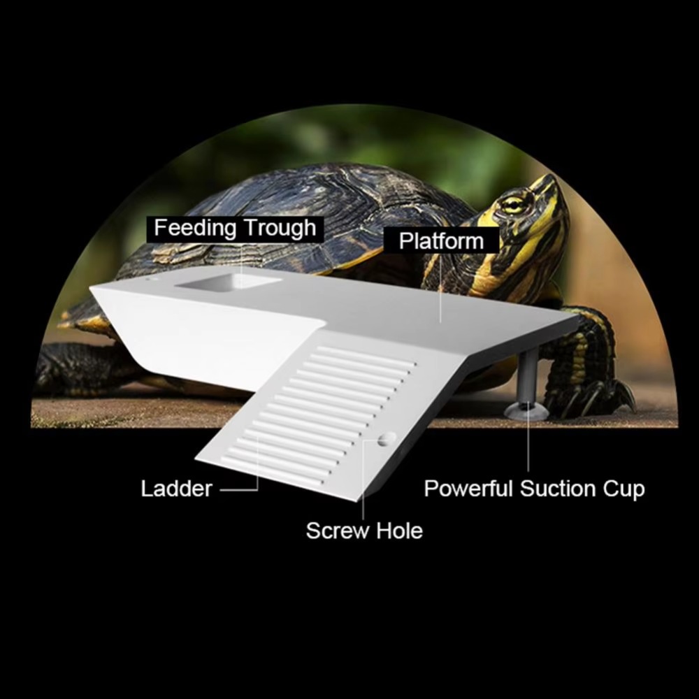 Water Land Slope Box Feeding C - Water Dish Reptile incelemesi ve fiyatı