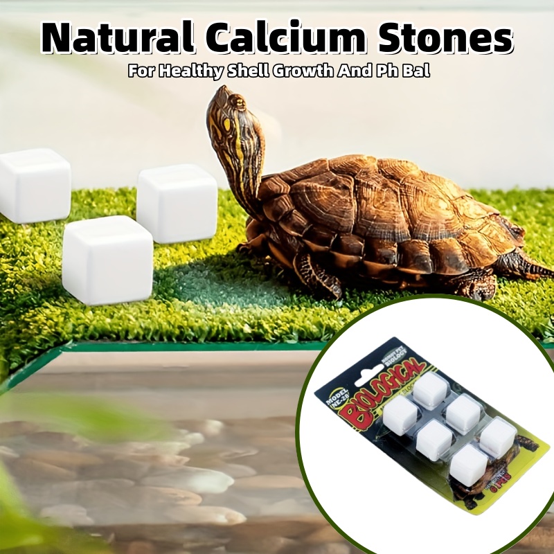 6 Pcs Fish Tank Calcium Block  - Calcium Powder Reptile incelemesi ve fiyatı