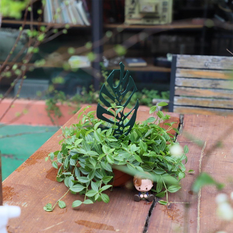 Plant Climbing Support Stand F - Vine Climbing Plastic incelemesi ve fiyatı