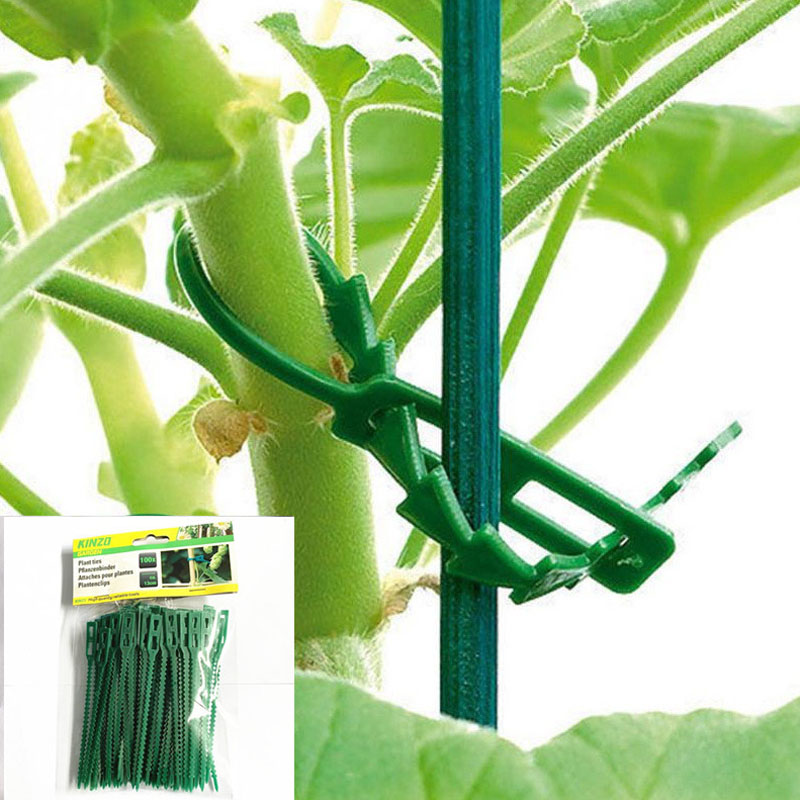 13cm Adjustable Plastic Plant  - Vine Climbing Plastic incelemesi ve fiyatı