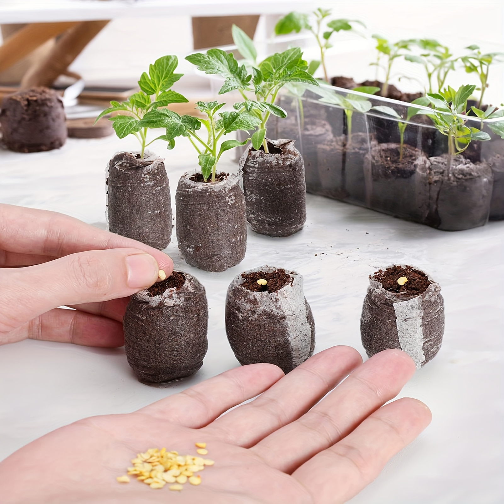10/20/50pcs Plant Growth Bags  - Substrate Coconut Fiber incelemesi ve fiyatı