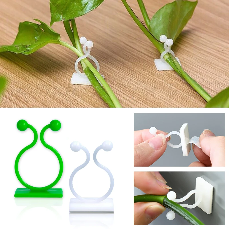 Plant Climbing Wall Self-Adhes - Vine Climbing Plastic incelemesi ve fiyatı